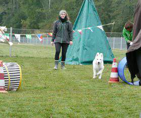 Welpen5