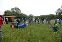 Welpen6