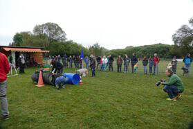 Welpen6