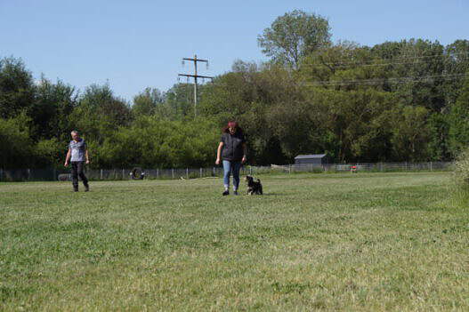 DSC04199