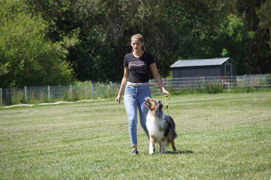 DSC04519