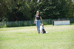 DSC04523
